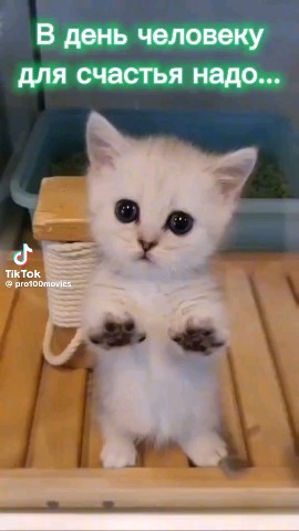 Владимир in LOOKY. . 