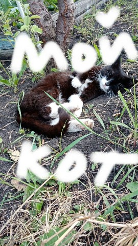 Крякощябрик в LOOKY. . 