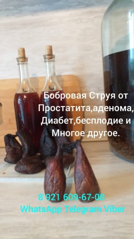 Бобровая Струя Настой-Вяленая в LOOKY. . Настойка Бобровая ст...