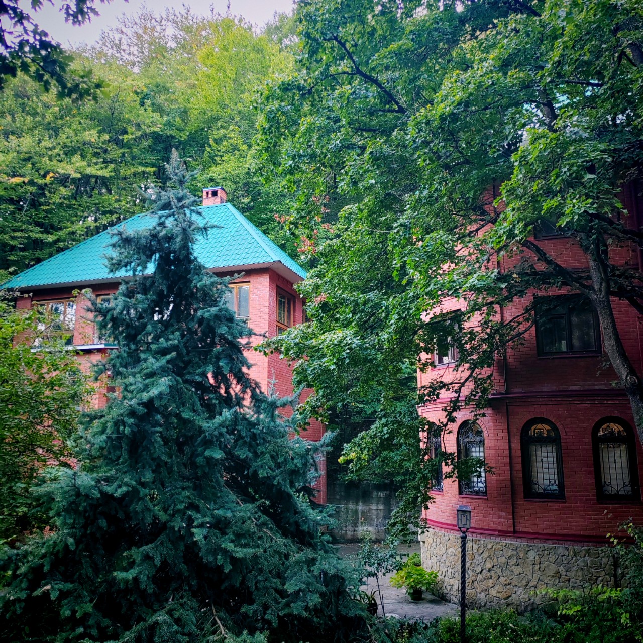  в LOOKY — фото 4