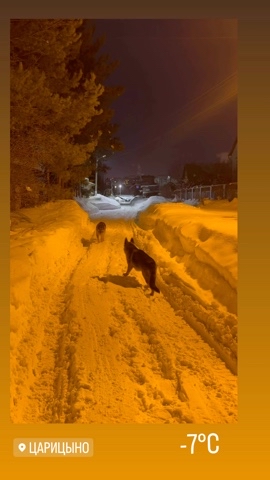 dinarhic in LOOKY. . Вечерняя прогулка пе...