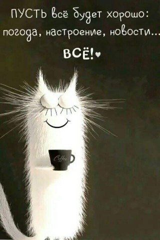Looky_174850583897655 в LOOKY. . 