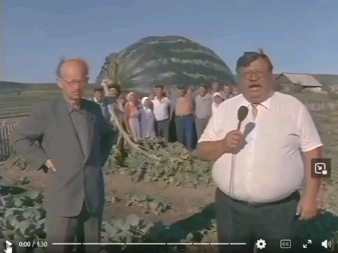 Игорь в LOOKY — публикация