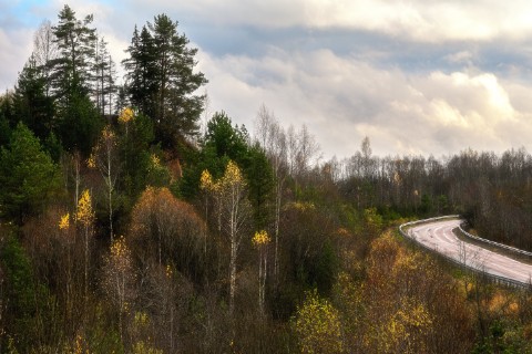 poboruev_landscape в LOOKY. #природа,#осень,#лес,#золотаяосень,#дорога,#небо,#холм,#склон,#Россия,#путешествие,#фотоприроды,#природноефото. А я не хочу четыре с...