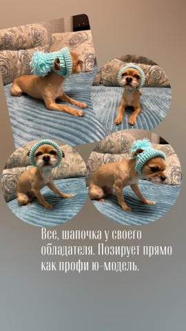 Евгения Григорьева в LOOKY. #крючком,#шапочкадля. Первая моя работа в ...