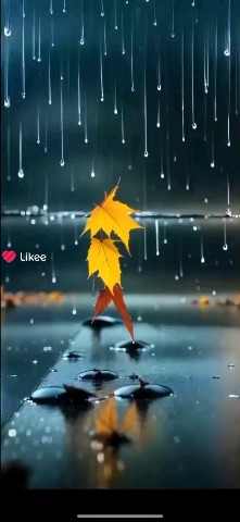 Looky_1721747192033 в LOOKY. . Видео от Анжелы