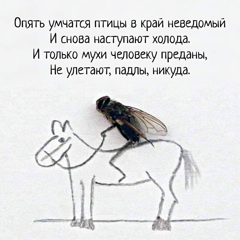 Светлана in LOOKY. . 