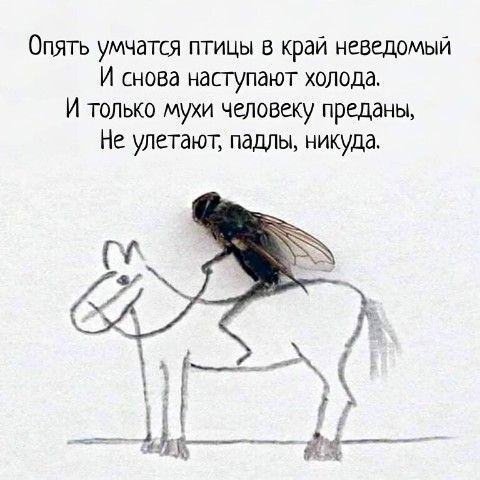 Светлана в LOOKY. . 