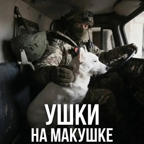 Looky_177433679518700 в LOOKY. . Если с другом вышел ...