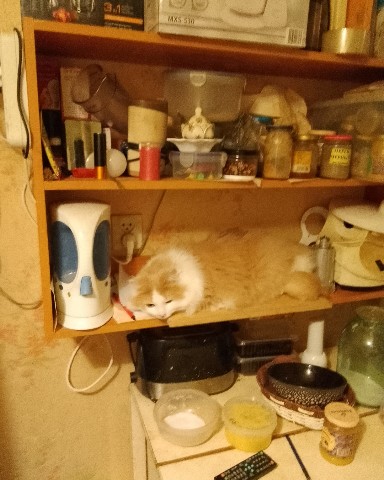Галина in LOOKY. . 