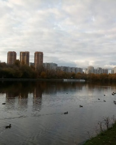 Денис в LOOKY. #районстрогино,#сзао,#москва,#городароссии,#регионыроссии,#субъектыроссии. #районстрогино #сзао...