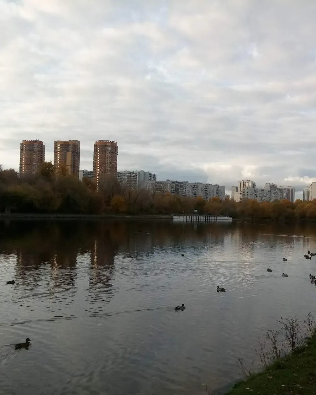 Денис в LOOKY — #районстрогино #сзао #москва #городароссии #регионыроссии #с