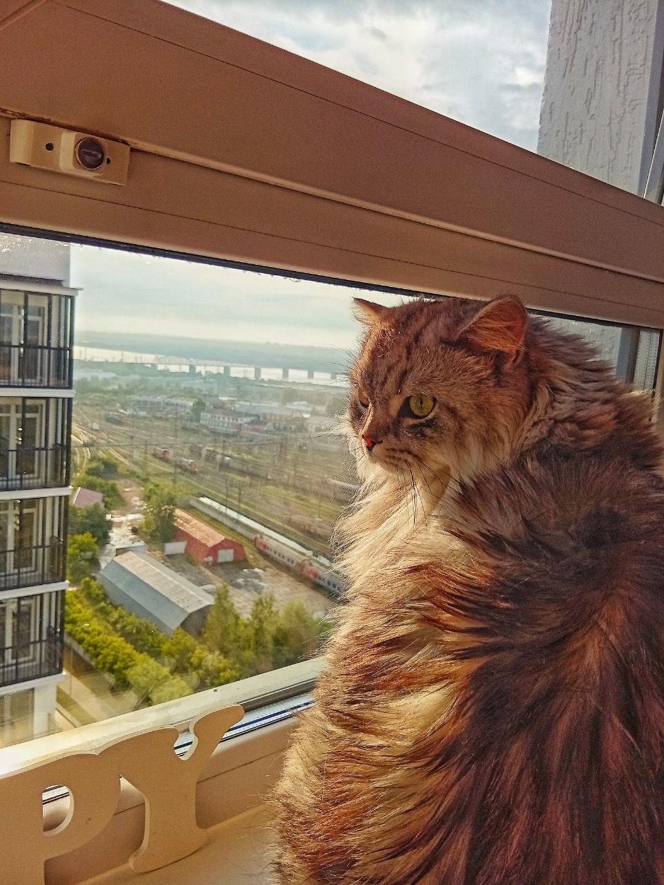 darenka_little в LOOKY. . Вид из окна — он веч...