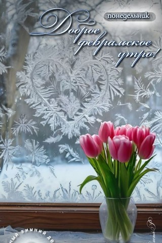 Олик Саргош в LOOKY. . 
