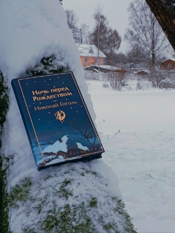 Юля в мире книг в LOOKY. #николайгоголь#ночьпередрождеством#классика#русскаяклассика#чтоячитаю#чтопочитать#книги#книгоман#книголюб#книжныйчервь#книжныйманьяк. Читаю  в новогоднии ...
