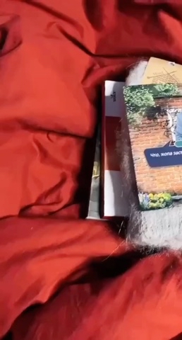 katty.phil в LOOKY. . Идея оригинального п...