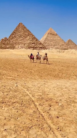 mo_salah3446 в LOOKY. . 
