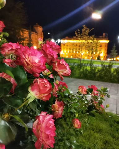 natasha.ak.vlg в LOOKY. . Сентябрьский Волгогр...