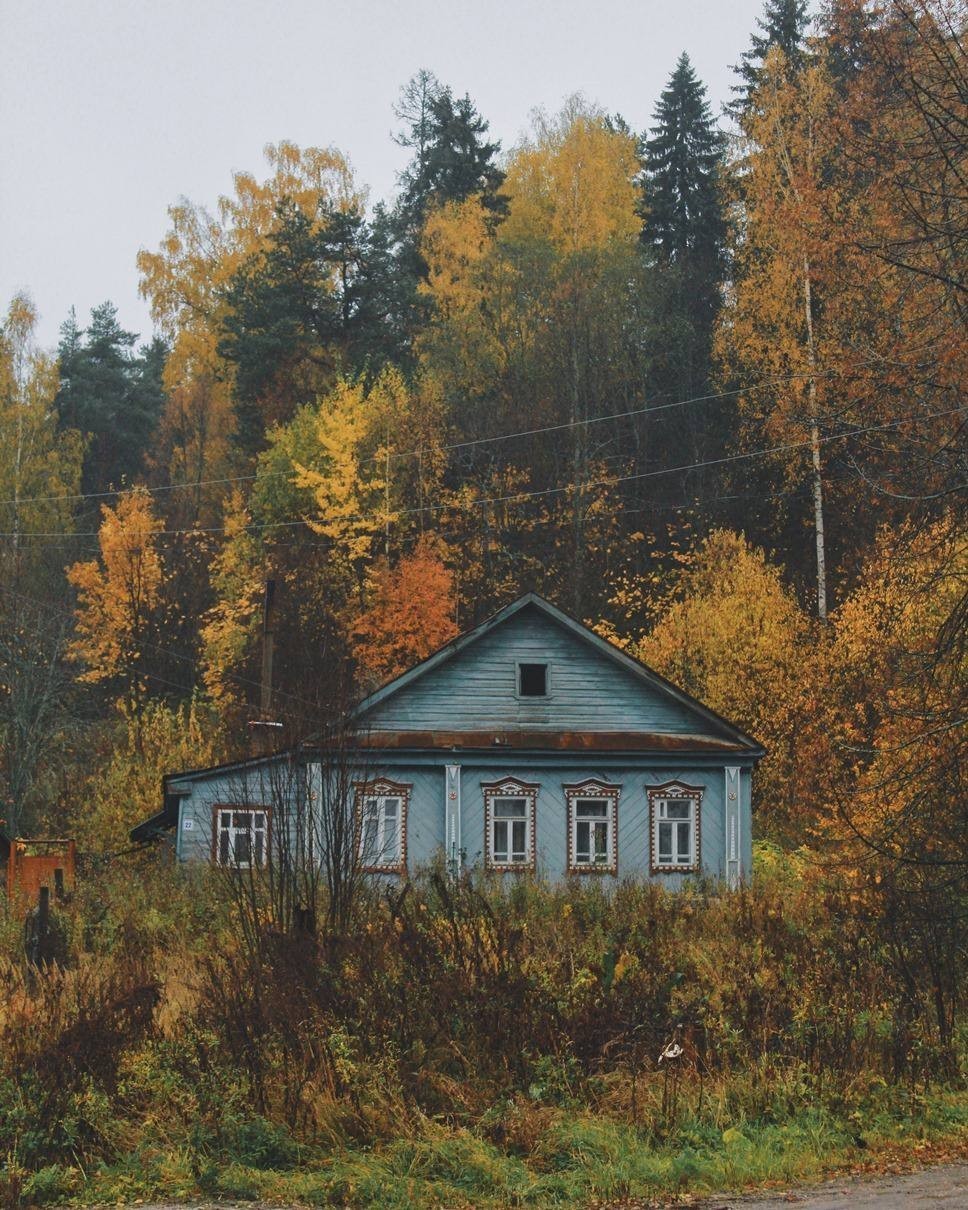 agata_801