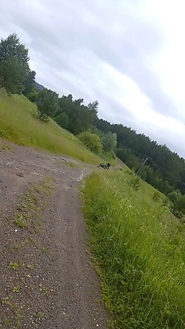 Флэр in LOOKY. . 