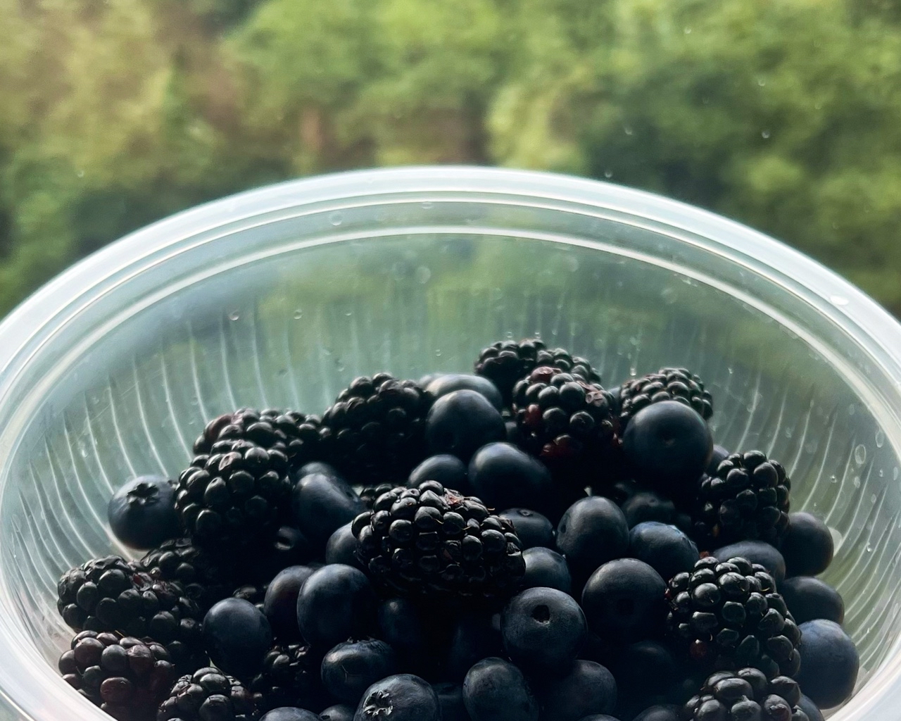 [#лето ](лето)[#ягоды ](ягоды)[#вкусно ](вкусно)