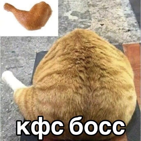 _Liz_ в LOOKY. . Хех