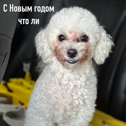 a.sokolov_33 в LOOKY. . Вот и 2024