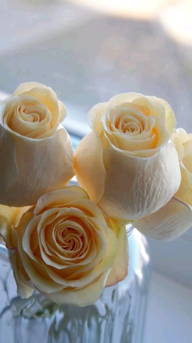 irinabogdanova_flowers в LOOKY. . Ручная работа всегда...