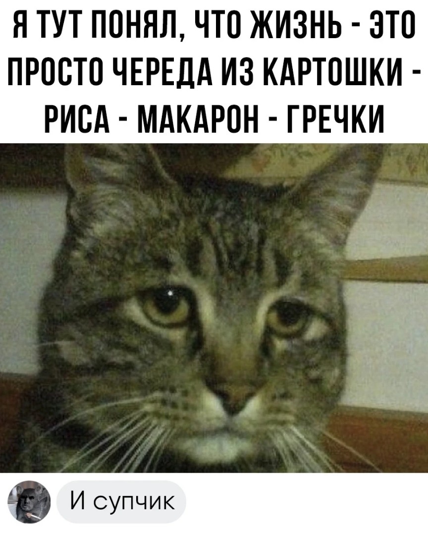 🔥 Подписывайтесь!! 🔥 У нас очень интересный и прикольный контент 🔥 #приколы #ржака #юмор #18+ #трэнды #2023 #лучшее #прикольныевидео #приколыдлявзрослых #пранки #топ #эпицентрюмора #факты #gif #фильмы #приколыизфильмов #тнт #эпицент #краш #мемы #топвидео #локи #LOOKY_топ