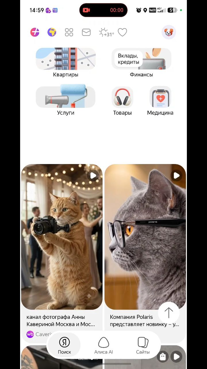 Кэт в LOOKY — Коты