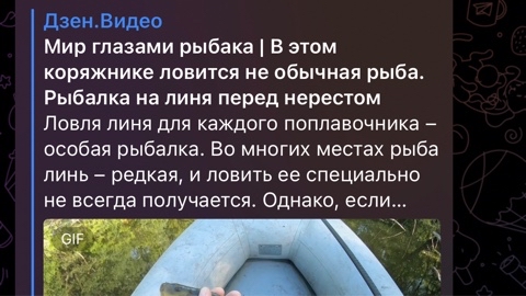 eresin_andrei в LOOKY. #щука,#окунь,#карась,#лещ,#сазан,#судак. Поддержите канал на ...