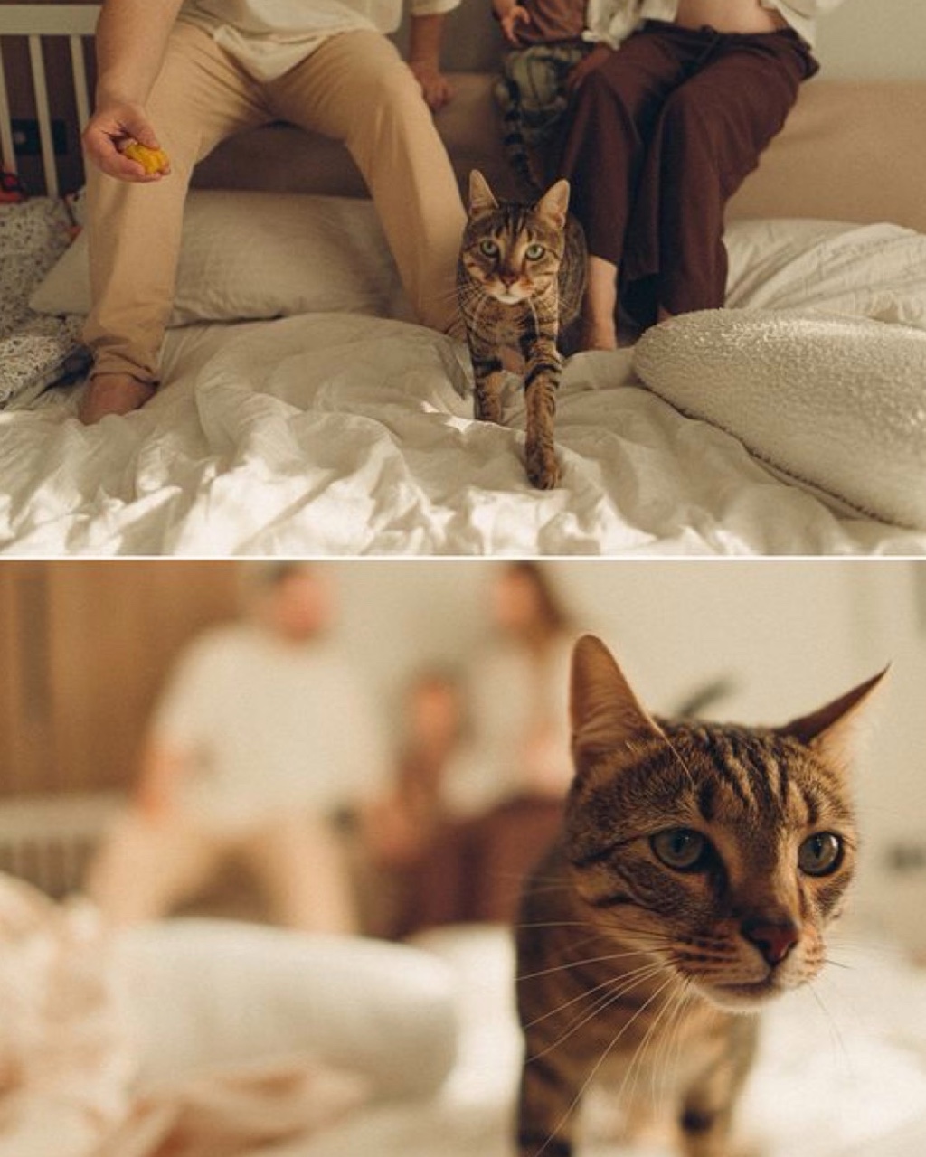 Ymenyalapki в LOOKY — #деньсемьи