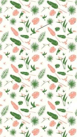 Lucia в LOOKY. . 