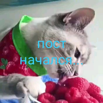 vkysno___prosto в LOOKY. #великийпост,#позитив,#диета. Начался Великий пост...