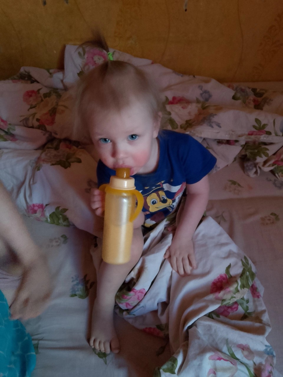 Елена в LOOKY