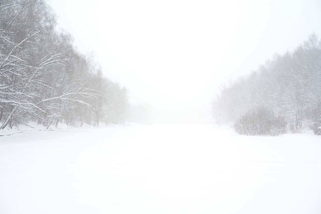 poboruev_landscape в LOOKY. #природа,#зима,#снег,#метель,#Россия,#лес,#перспектива. Нас снова обещают за...