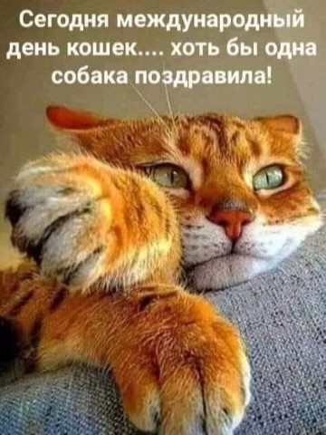 Looky_172340632299820 в LOOKY. . 