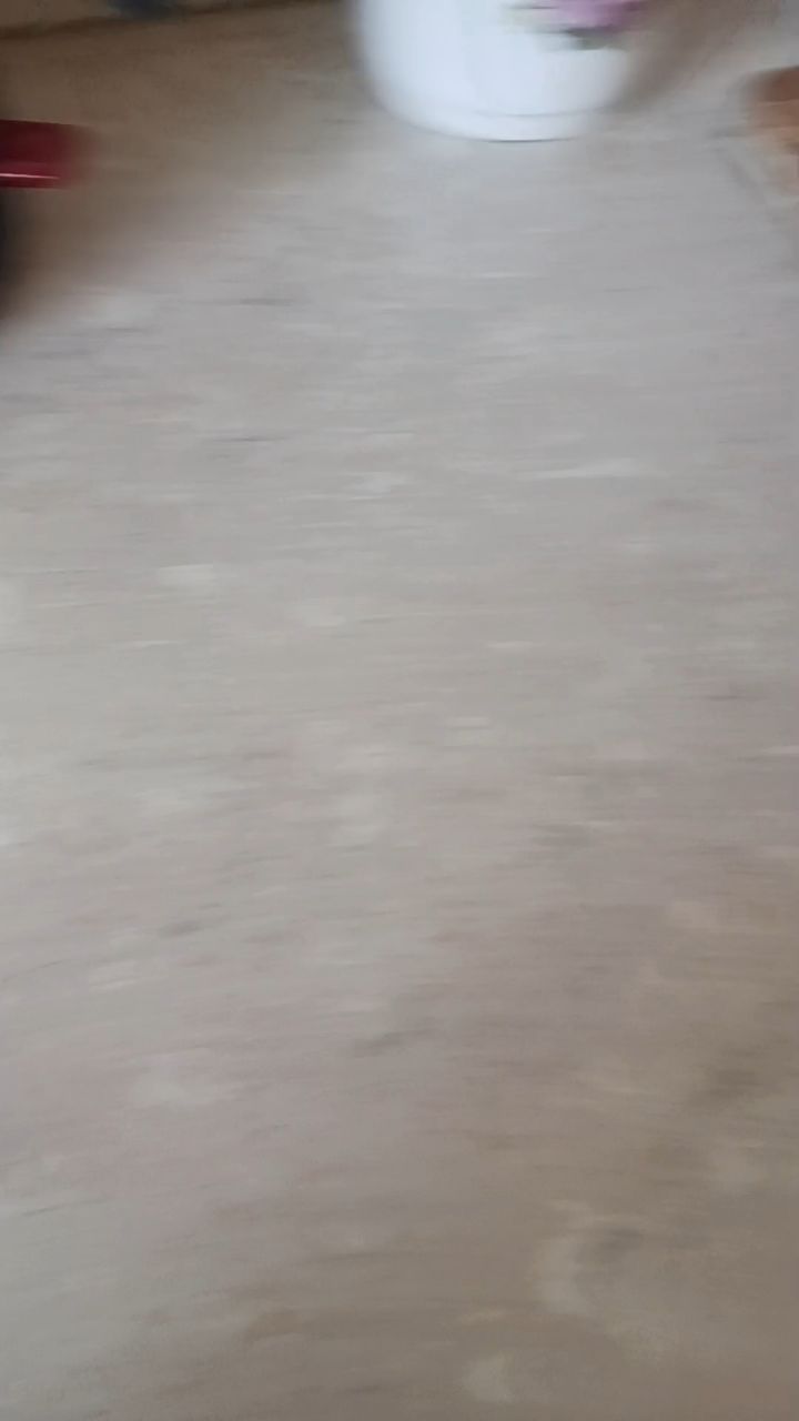 Неоновый Лис в LOOKY — публикация