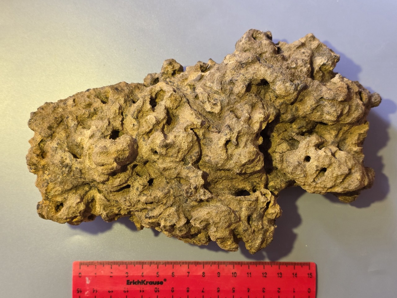 planetcollector в LOOKY — Песчаник
Возраст: Мезозой, Верхний мел.
Место находок: Брянс
