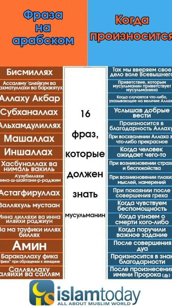 Горцы в Исламе в LOOKY — публикация
