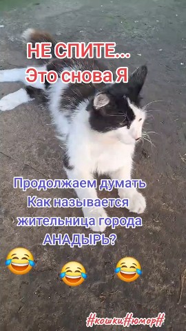 Looky_1706194859176 в LOOKY. . 