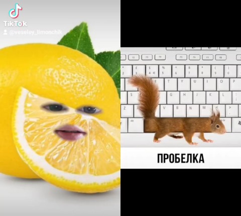 veseley_limonchik в LOOKY. #дуэт,#говорящиевещи. #дуэт с @timon.17 #г...