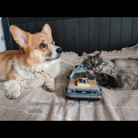 samson_and_barrymore.bobtails в LOOKY. #Самсон_мкб,#pembrokecorgi,#корги,#коргипемброк,#пемброк,#собака,#собакадругчеловека,#большойкот,#курильскийбобтейл,#kurilianbobtail,#мыизкотограма,#looky,#looky_топ,#looky_official. .
Итак, пока появила...