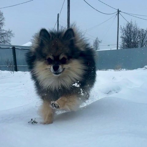 Looky_1712977567678 в LOOKY. . Здравствуйте, дороги...