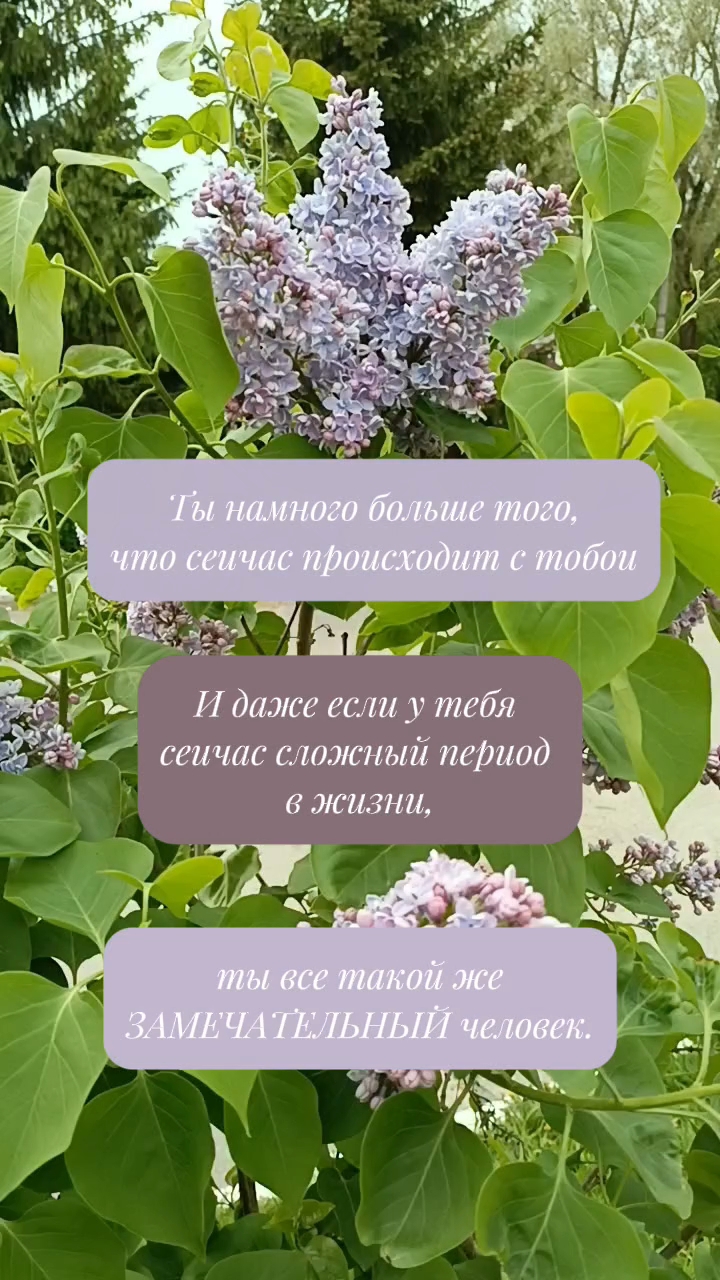 Ольга в LOOKY. #цитаты,#рекомендации. #цитаты #рекомендаци...