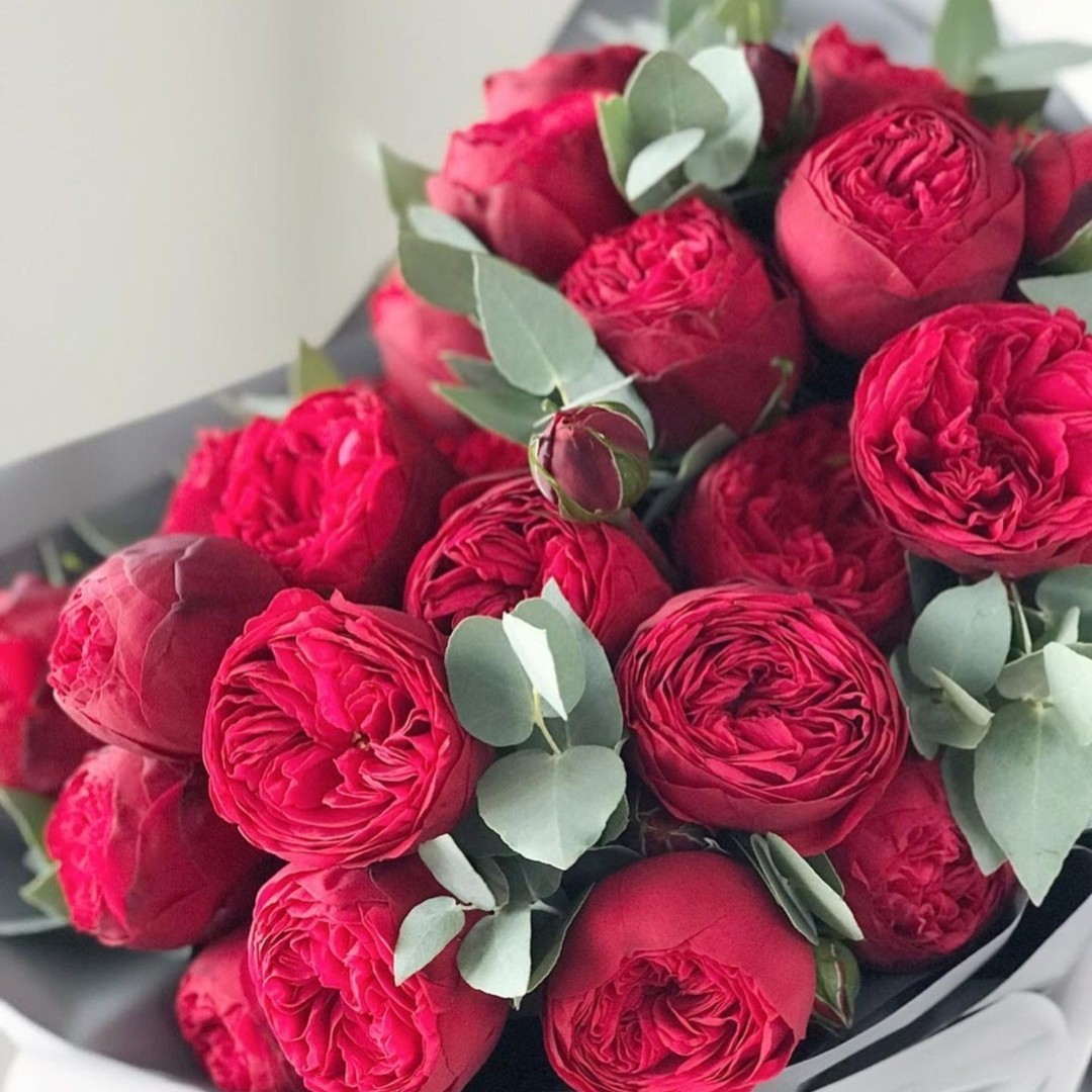 Looky_1684240992018 в LOOKY — публикация