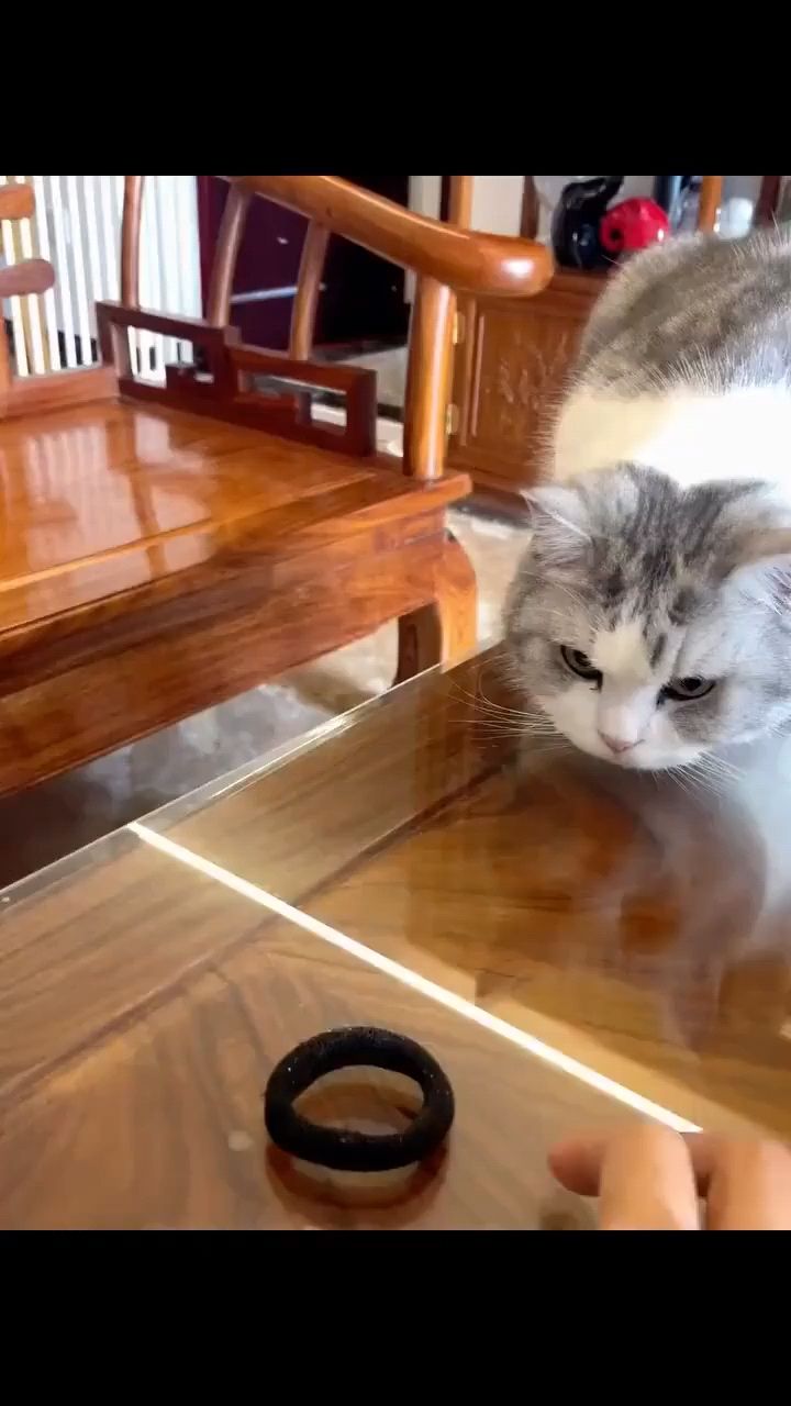 fuuny в LOOKY. . Реакция