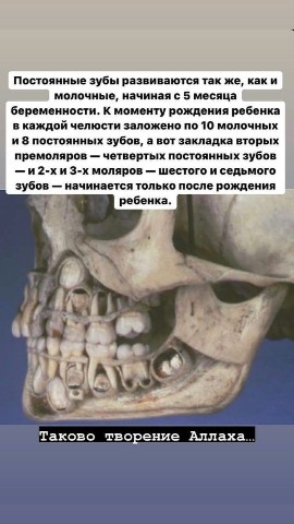 Горцы в Исламе in LOOKY. . 