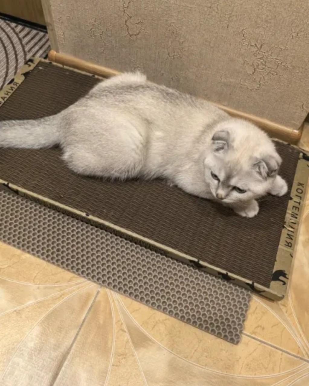 kogtedralka в LOOKY — ✅️"Любимая когтеточка моего котика. И когти точит и лежать е