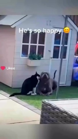 Куликов Николай в LOOKY — публикация